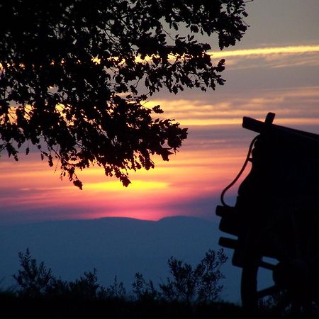 Agriturismo Le Vigne โฟลีโญ ภายนอก รูปภาพ