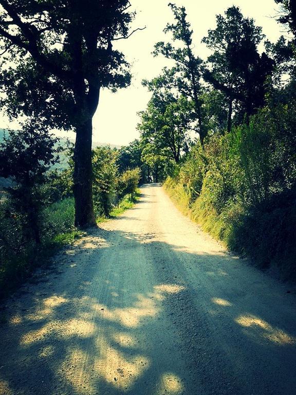 Agriturismo Le Vigne โฟลีโญ ภายนอก รูปภาพ