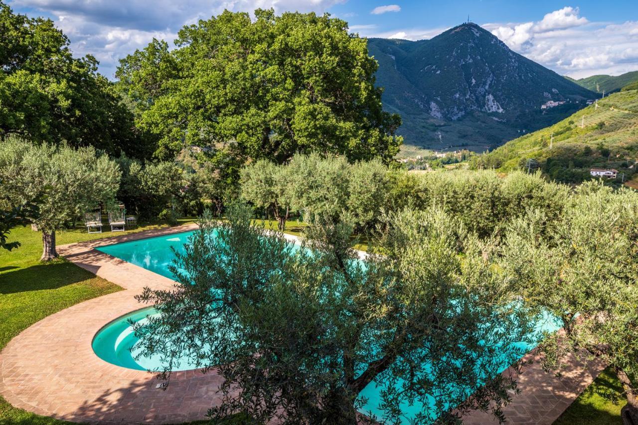 Agriturismo Le Vigne โฟลีโญ ภายนอก รูปภาพ
