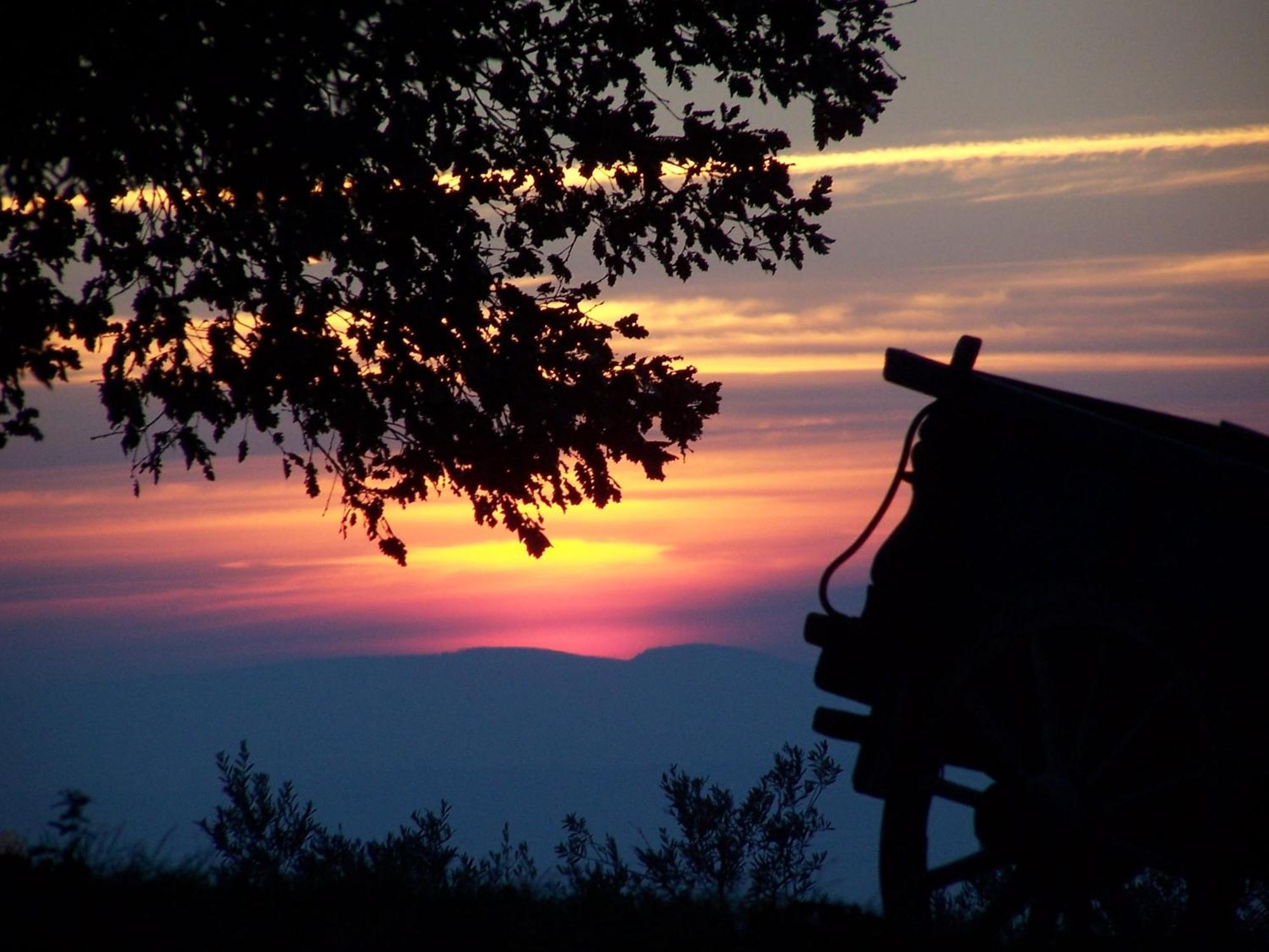 Agriturismo Le Vigne โฟลีโญ ภายนอก รูปภาพ